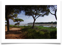 5 - Portugal - Chris Beesley